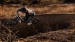 Specialized Buty 2FO Method 45 czarne / brązowe