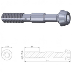 Śruba banjo HBP12 Stal; M6x1.0; d/Shimano XTR2012