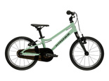 Kross LIFTIE 16" zielony czarny KRLFXX16X08U009306