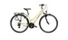 Kross Trans 1.0 Damski 28" rozmiar  L 19" brązowy / fioletowy połysk  KRTR1Z28X19W008000
