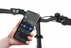 ROWER ELEKTRYCZNY ECOBIKE RHINO CRUISE BLACK akumulator 17,5 AH 