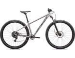 Specialized Rockhopper Sport CLY/BLKLQDMET 29" rozmiar L 19"