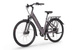 ROWER ELEKTRYCZNY ECOBIKE X-CITY 19"  COFFEE V2 bat 14AH