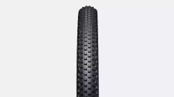 S-Works Renegade 2Bliss Ready T5/T7 29x2.2 zwijana